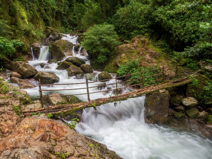 Explore the Montane Cloud forests of Costa Rica