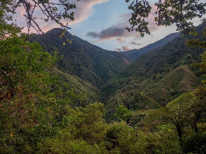 Explore the Montane Cloud forests of Costa Rica