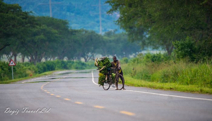 Explore Uganda the Pearl of Africa