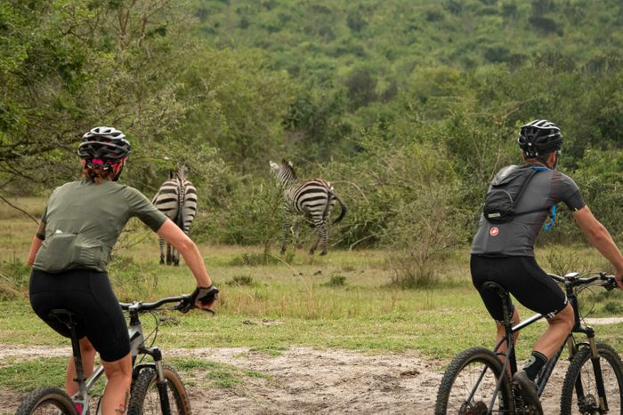 Slow cycling safaris