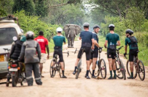 Adventurous Mountainbike Trips