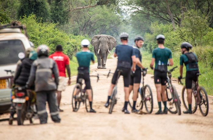 Adventurous Mountainbike Trips