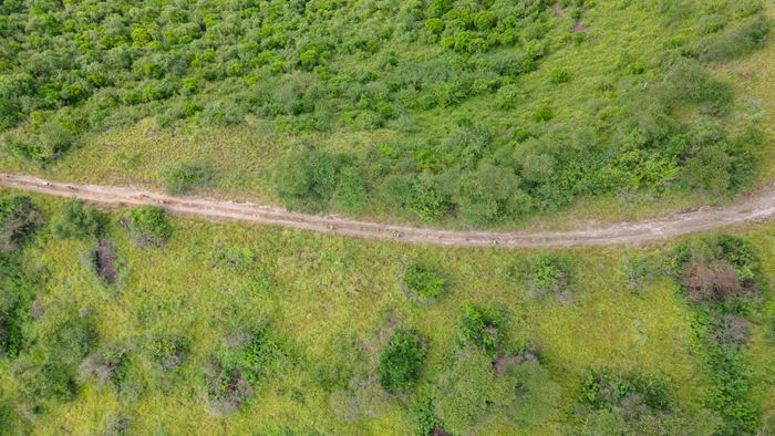 DIY Adventurous Bikepacking Tours