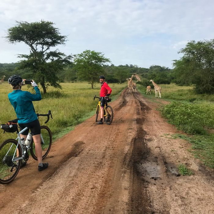 DIY Adventurous Bikepacking Tours