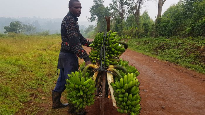 DIY Adventurous Bikepacking Tours