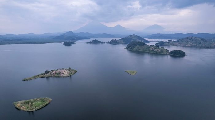 Hiking tours: gorillas and dormant volcanoes