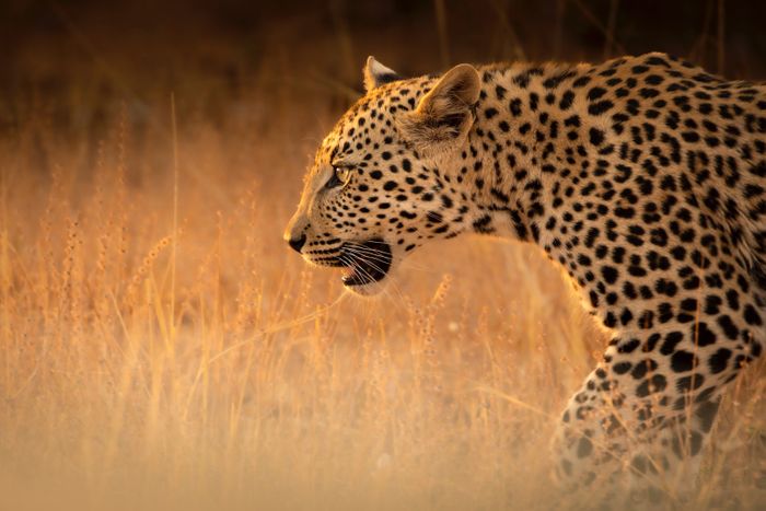 Namibia Photography Tour