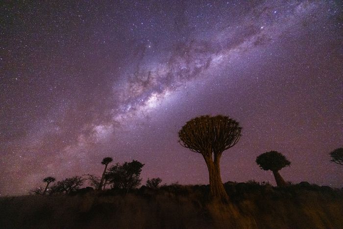 Namibia Photography Tour