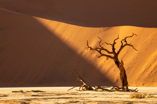 Namibia Photography Tour