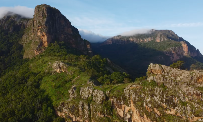 Hiking the Undiscovered Giants of East Africa (Uganda)