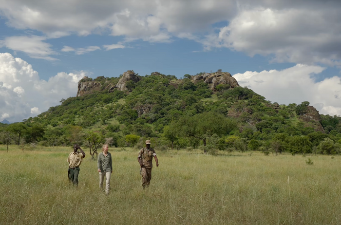 Walking Safari among the Big Five (Uganda)