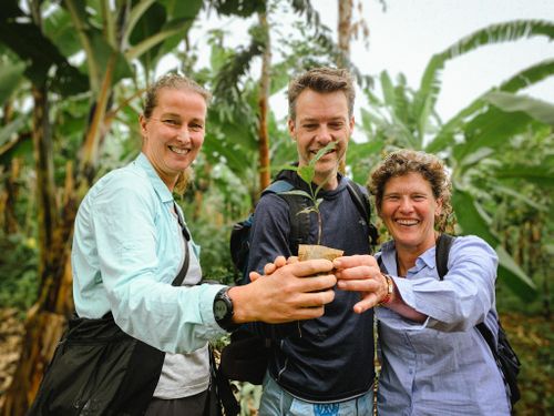 From Bean to Cup: The Origin of Robusta Coffee (Uganda)