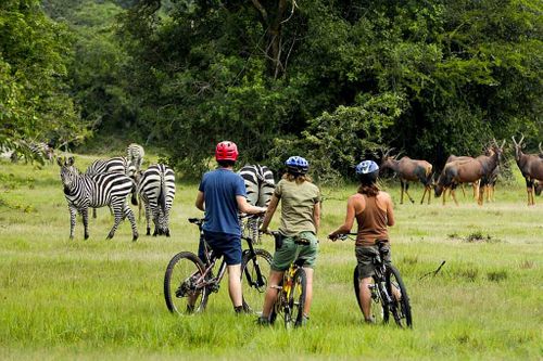 The lake Mburo Bike Safari