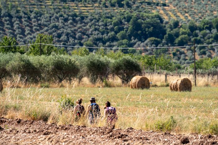 Way of Saint Francis