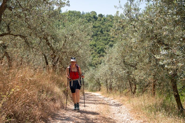 Way of Saint Francis