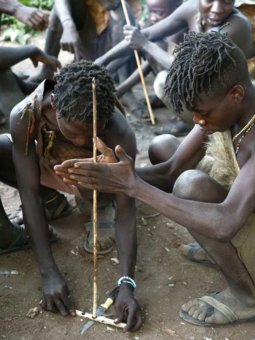 Safari State of Mind