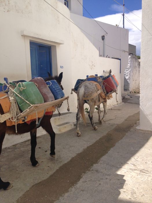 Greece: The Cycladic Islands of Naxos and Amorgos