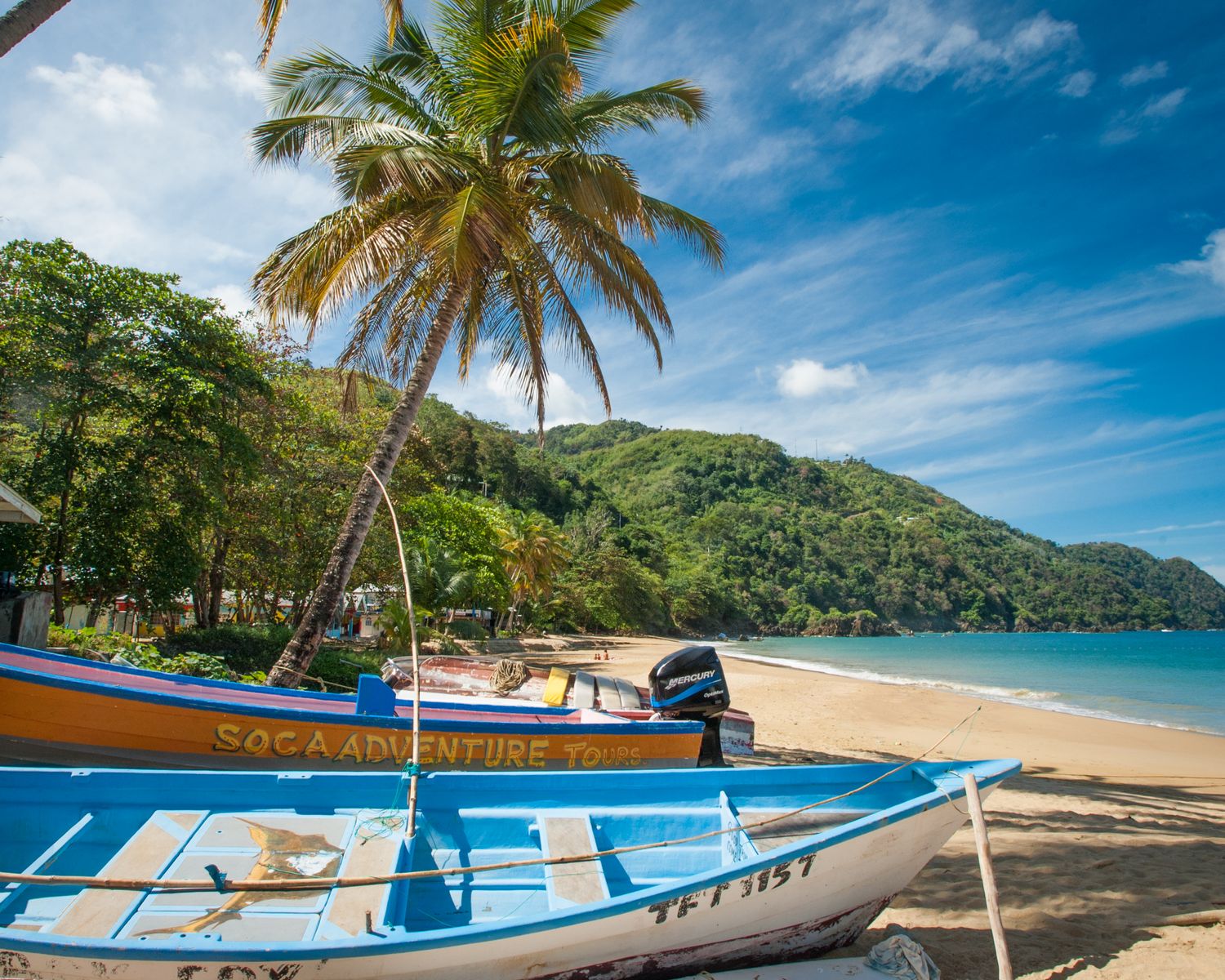 Cover image - Tobago Beyond