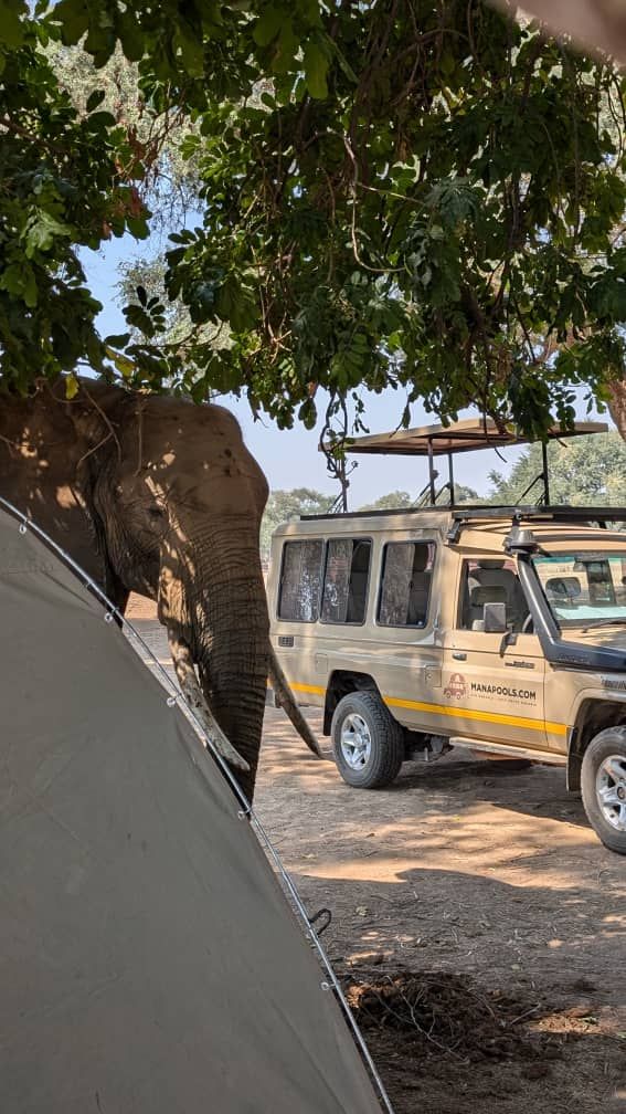 Cover image - Manapools