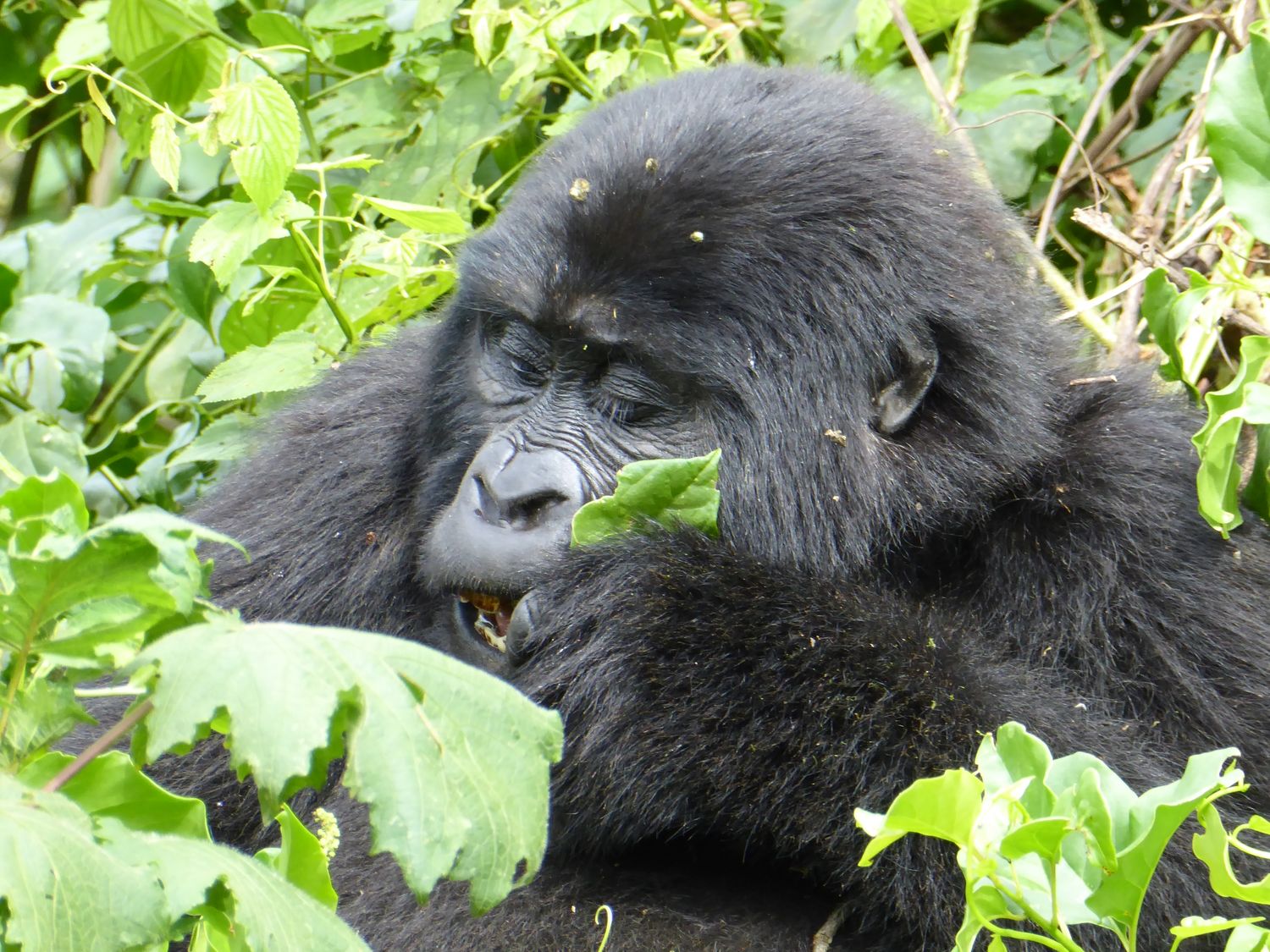 Cover image - Venture Uganda