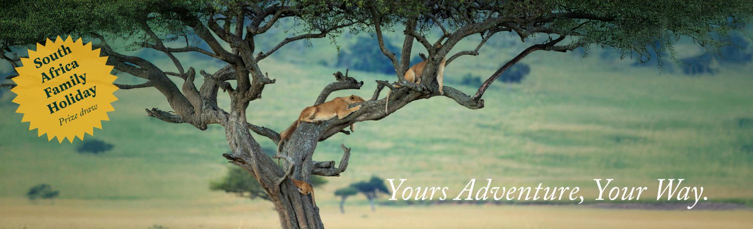 Cover image - Briggate Travel