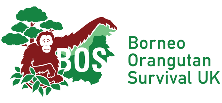 Cover image - Borneo Orangutan Survival UK