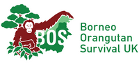 Company name - Borneo Orangutan Survival UK