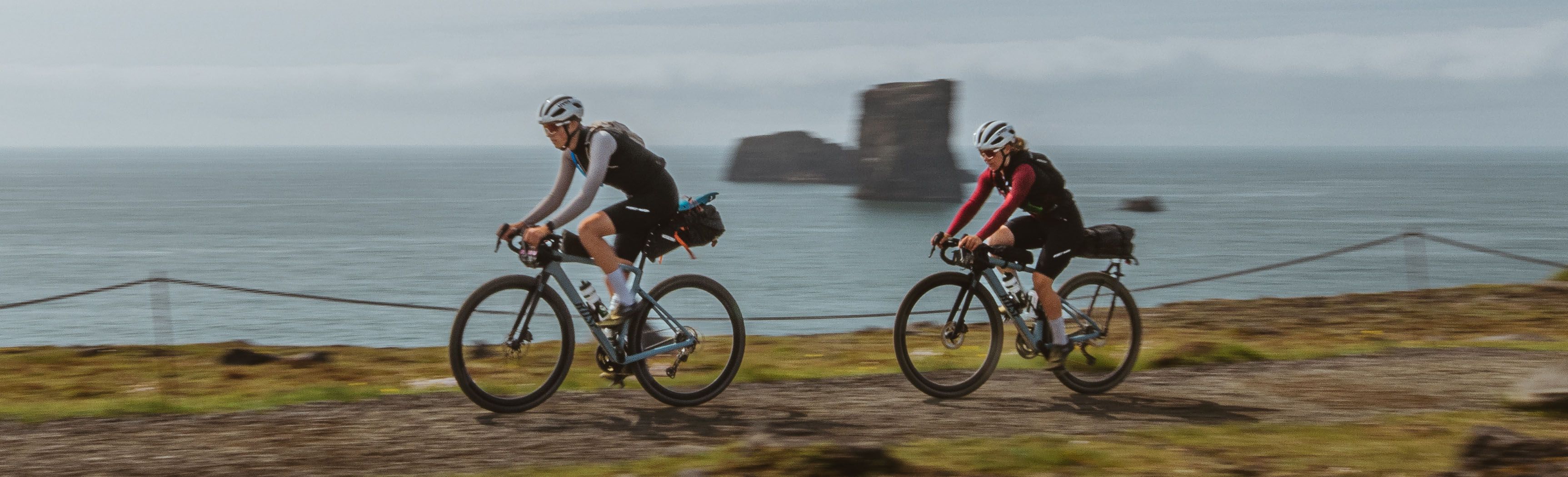 Cover image - Schwalbe