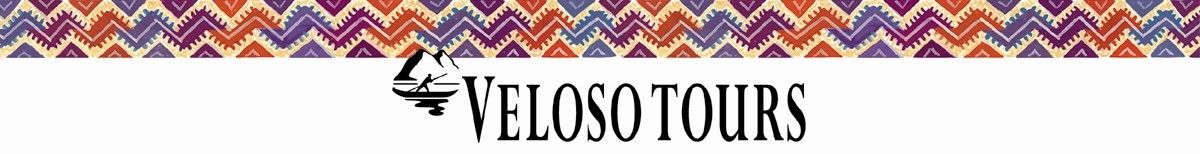 Cover image - Veloso Tours