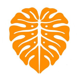 Exhibitor profile image for ARK Expeditions