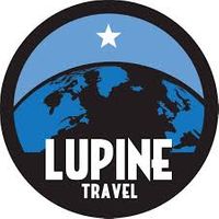 Company name - Lupine Travel