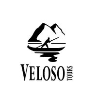 Company name - Veloso Tours