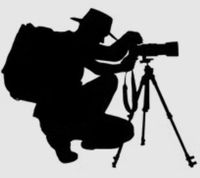 Company name - Will Gray