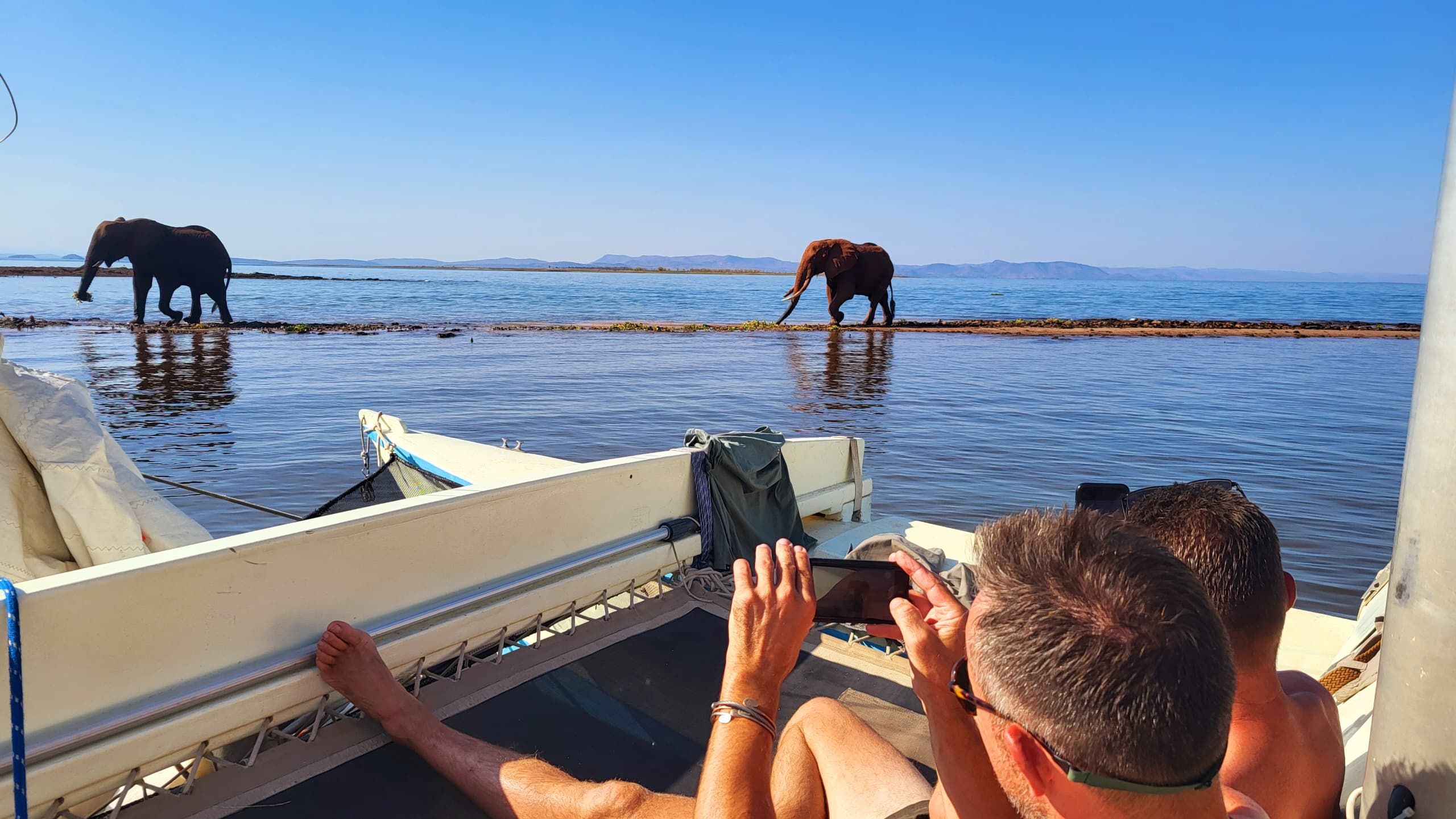 Cover image - Sail With Elephants