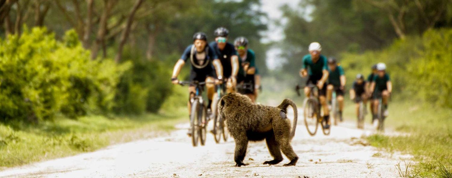 Cover image - Red Dirt