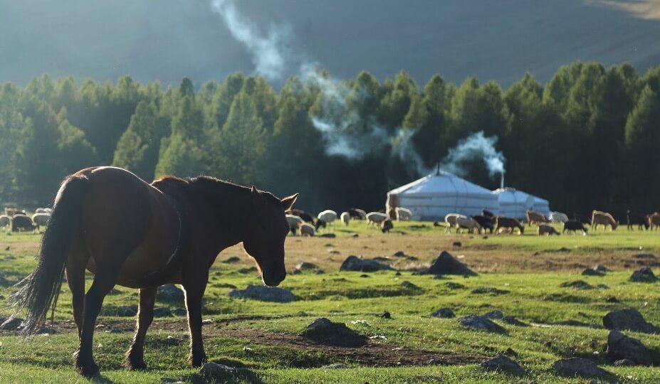 Cover image - Yellow Wood Adventures