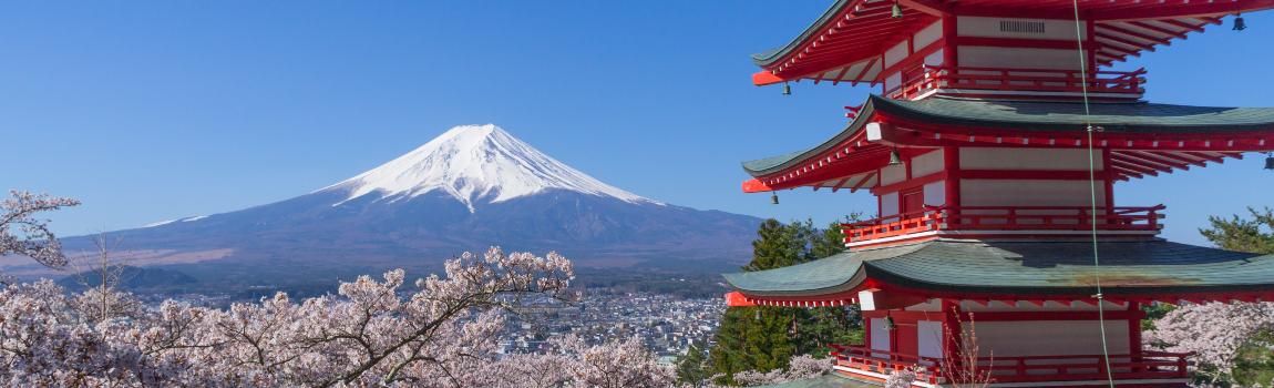 Cover image - Wendy Wu Tours