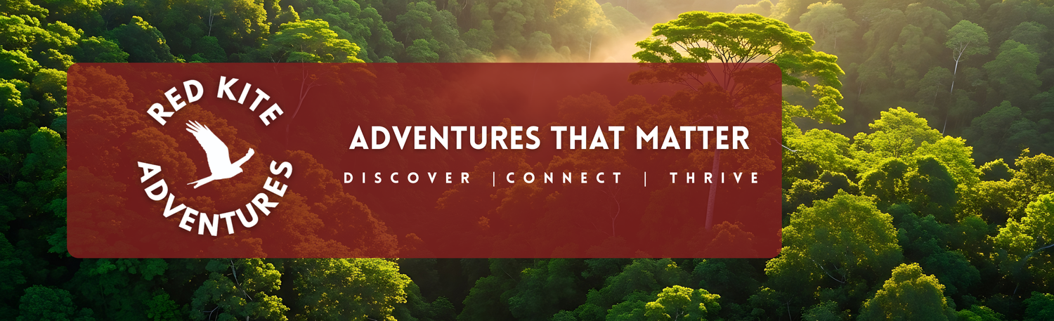 Cover image - Red Kite Adventures Ltd