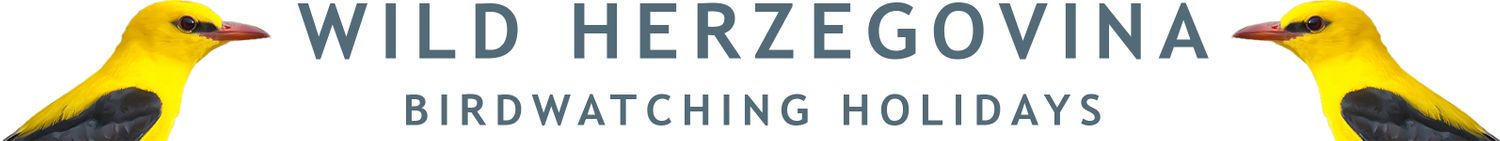 Cover image - Wild Herzegovina