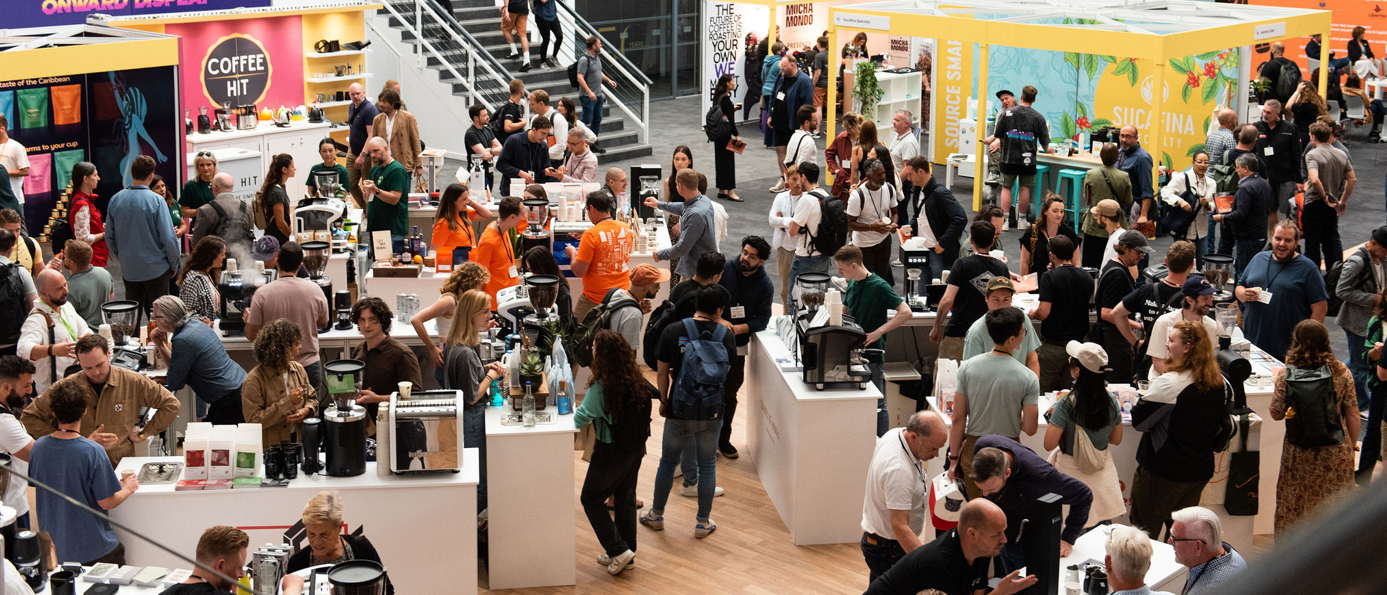 Two commercial coffee grinders
