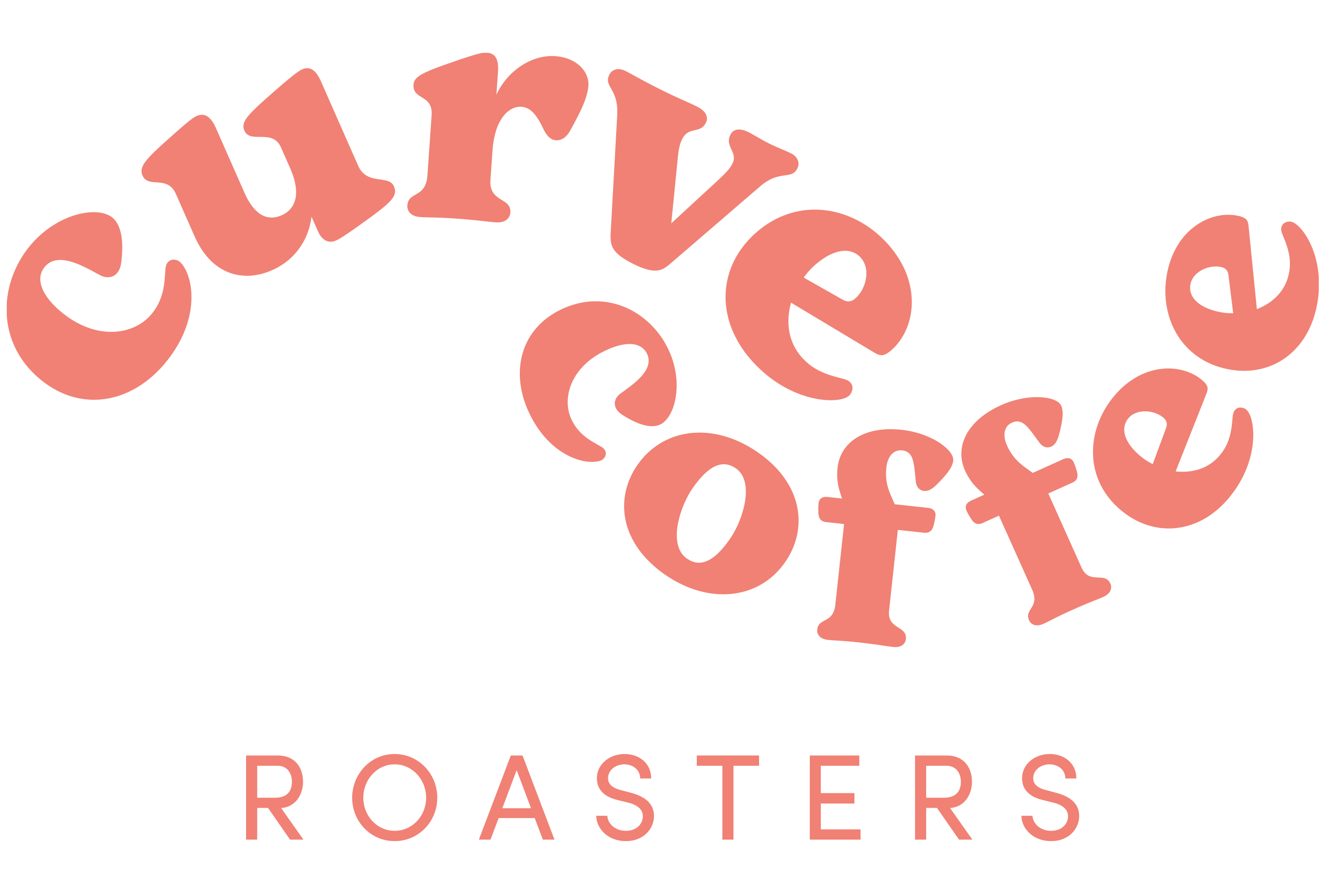 Curve Coffee Roasters