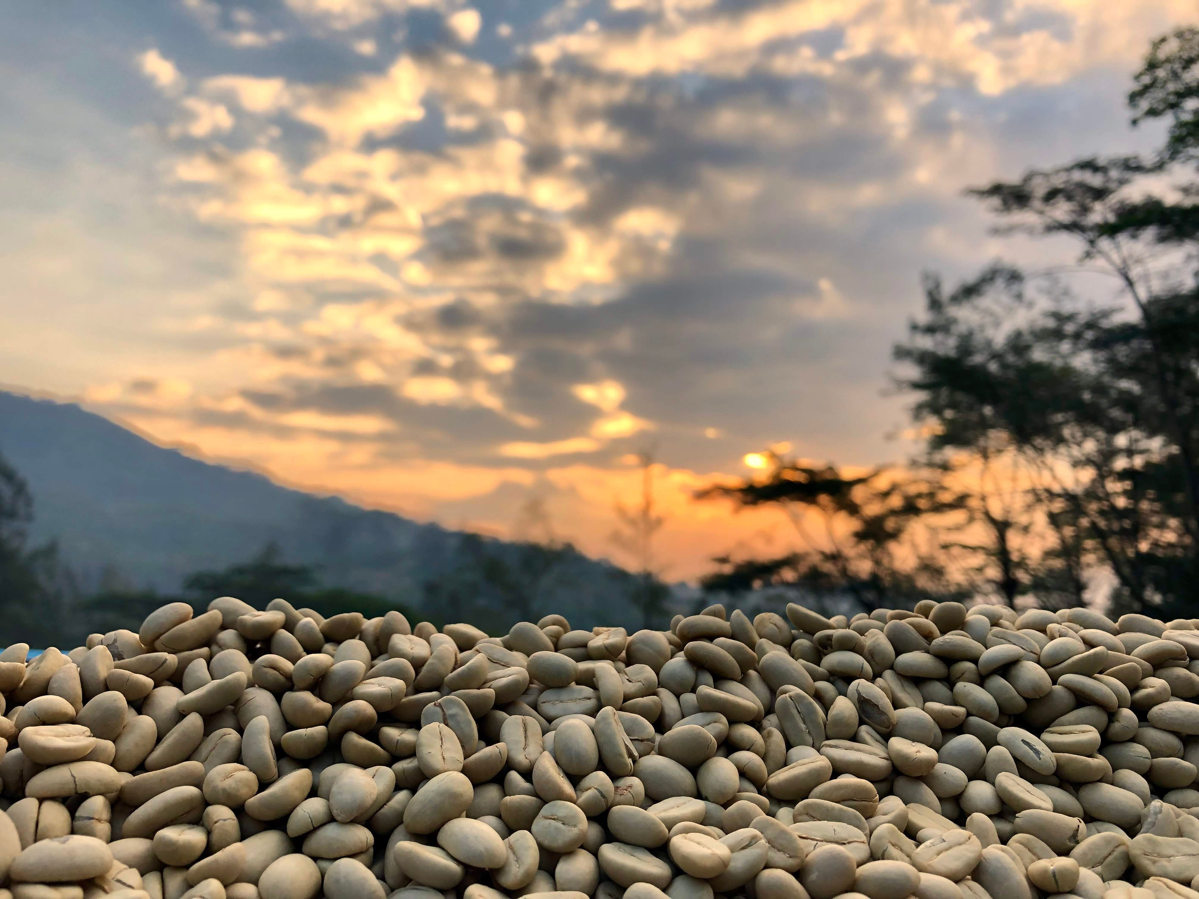 RAVE Coffee supports community and environmental projects through 1% for the Planet