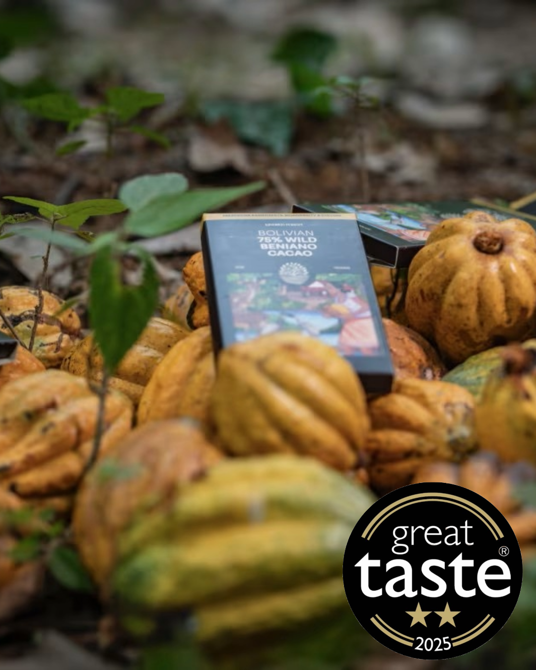 New sustainable brand Kindred Forest to debut rare wild chocolate and other rainforest products at Speciality & Fine Food Fair 2025
