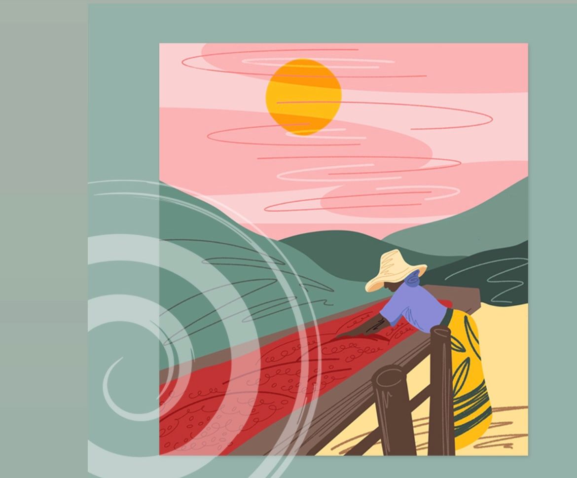 Cover image - Liquid Spirit Coffee Roasters