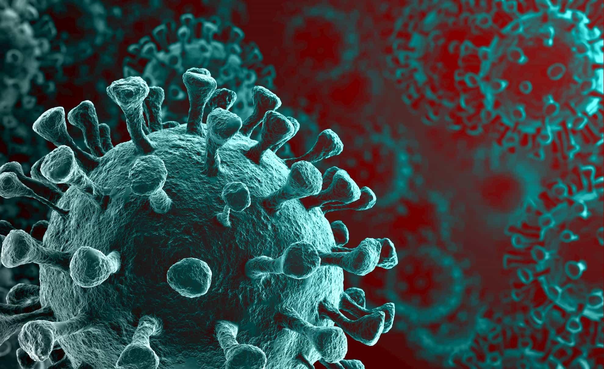 Covid virus