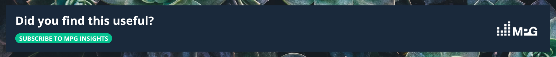 did you find this useful? subscribe to mpg insights