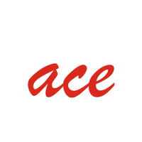 Company name - Ace Branding Company