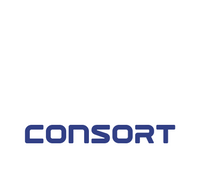 Company name - Consort Digital