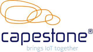 Exhibitor profile image for Capestone