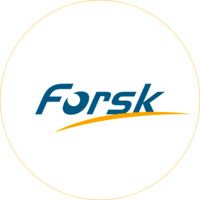 Company name - Forsk 